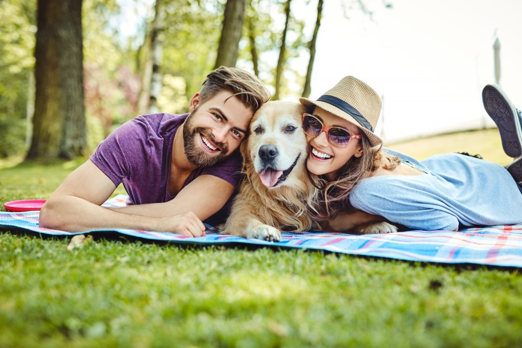 Dog Friendly Parks in Edmonton-Highland Moving and Storage