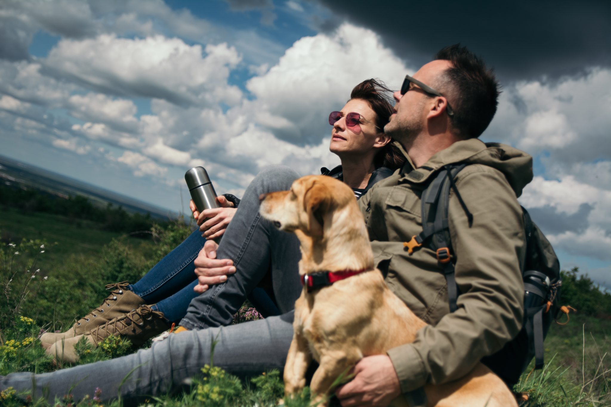 Best Dog Friendly Parks in Calgary Highland Moving and Storage Ltd.