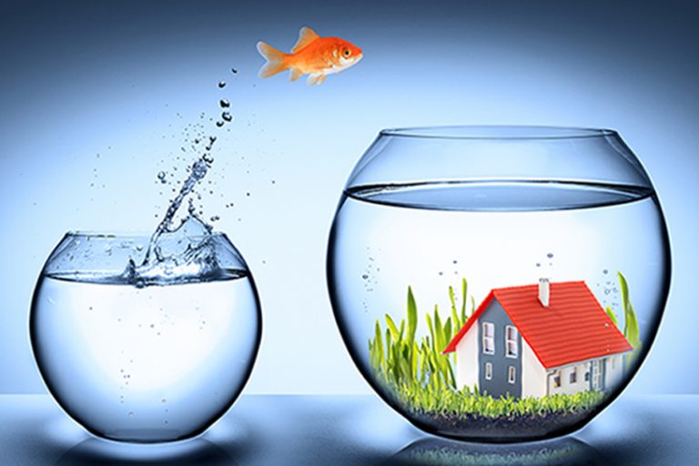 How to Move An Aquarium Highland Moving and Storage Ltd.